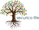 Final Expense and Burial Insurance Agent Opportunity | Securico Life